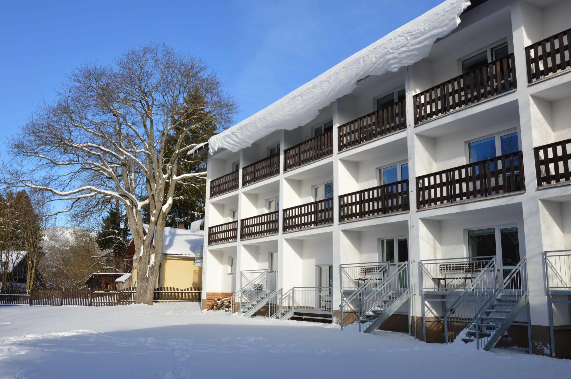 Penzion Havelka Apartmany Zelezna Ruda Exterior photo